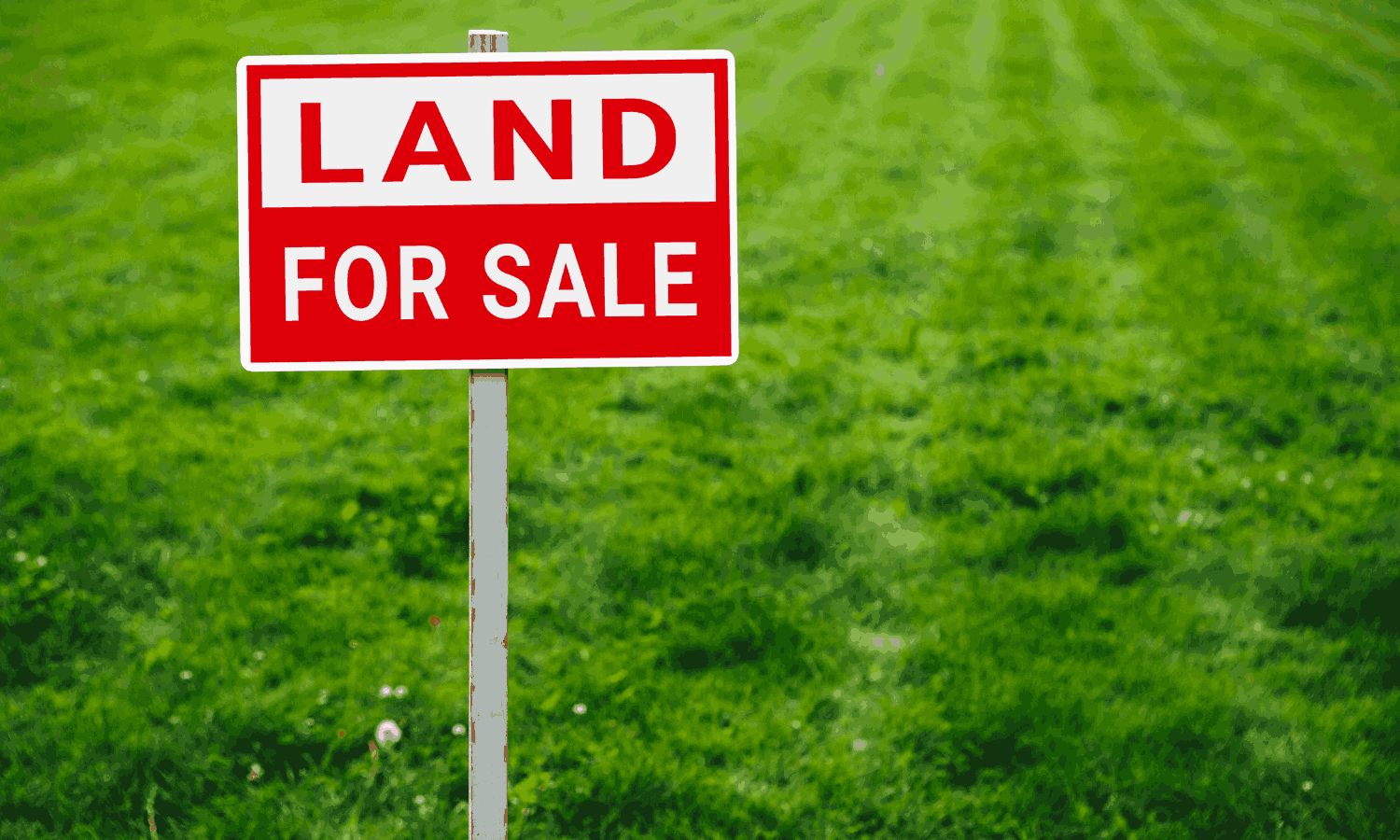 7 Easy Ways to Sell Your Land Fast | Sell Land Fast